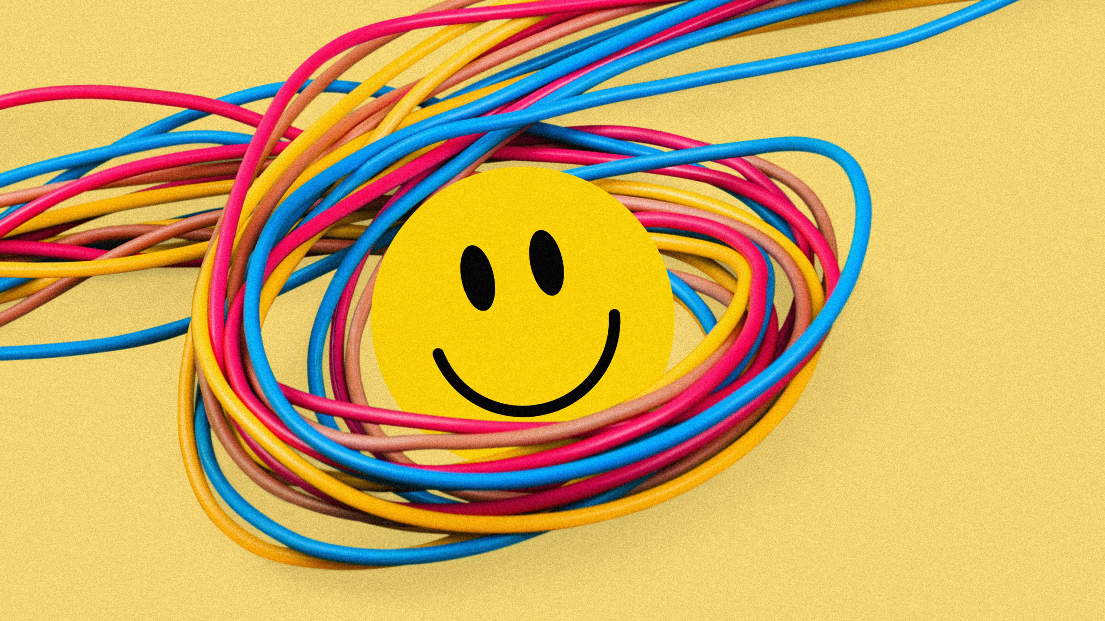 How To Make Happiness A Habit According To An Expert Fast Company How To Make Happiness A Habit According To An Expert Fast Company