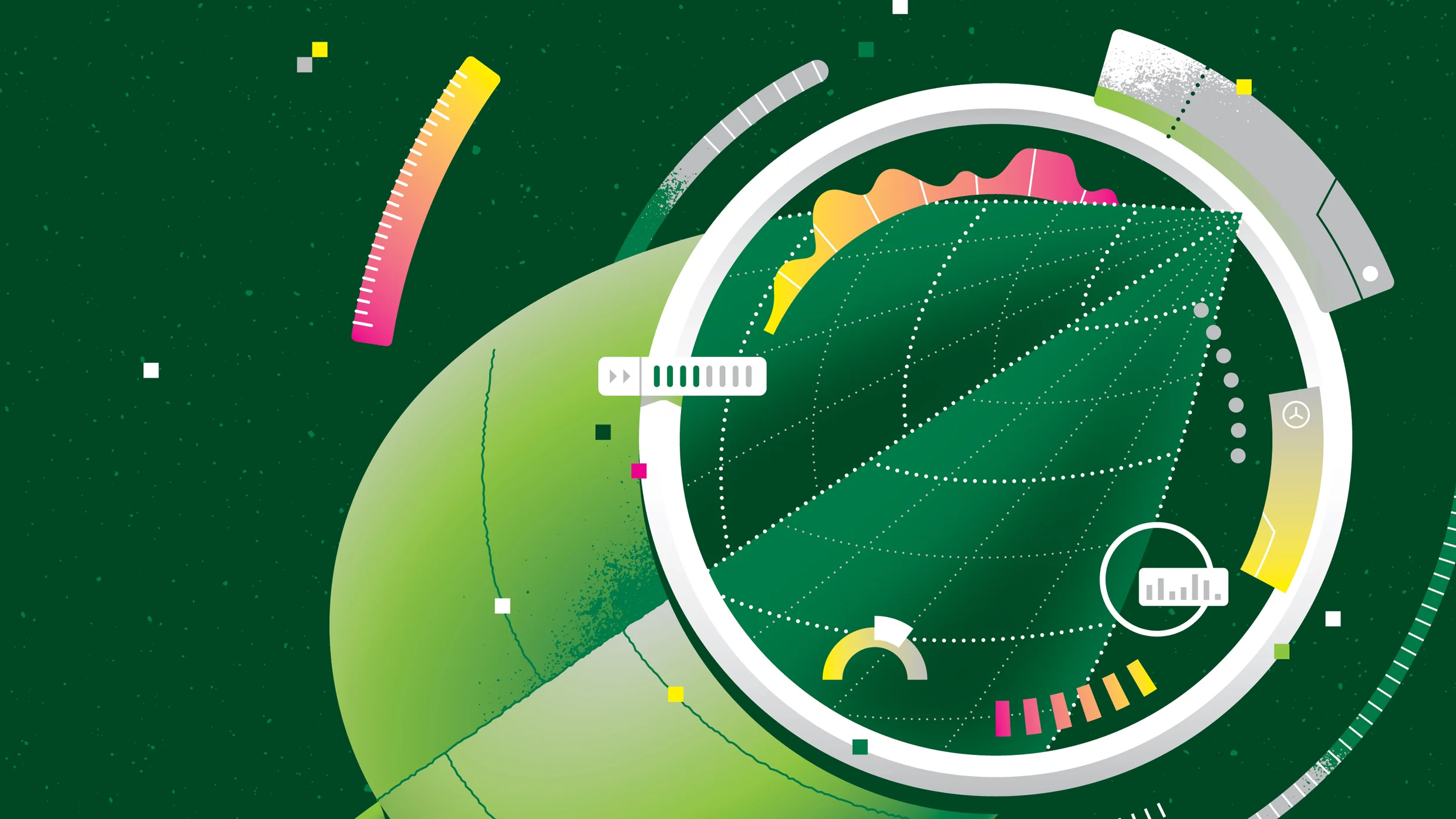 How AI startup Pachama brings transparency to carbon offset projects ...