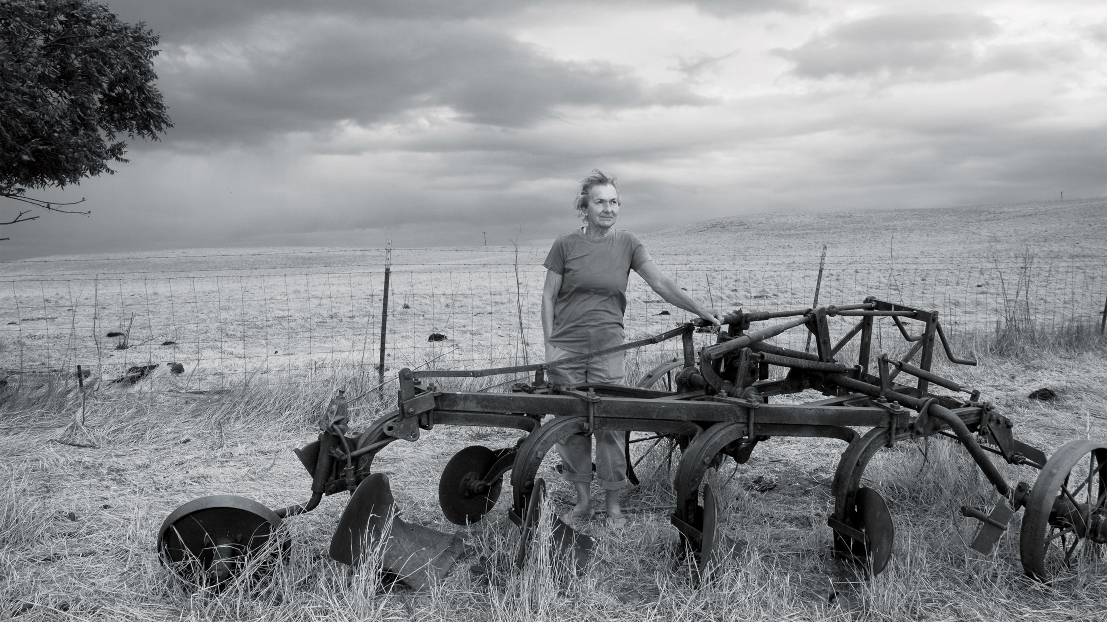 Big Tech's California Forever plan is upending this farming community