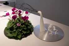 Good Vibrations: These Sex Toys Are Made For Plants - Fast Company