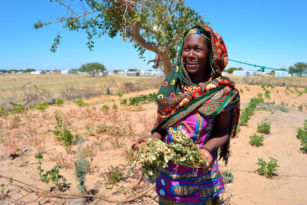 i-3-Why-the-price-of-your-favorite-choco