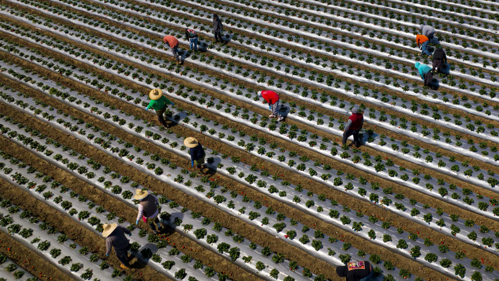 Trump's plan to deport millions of immigrants would shock the U.S. economy, research shows