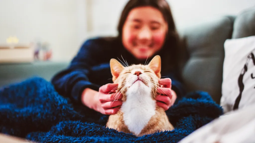 People with secure attachment to their pets are less depressed, researchers find