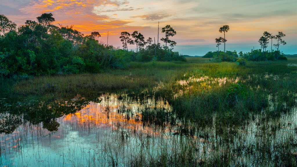 South Florida gets its drinking water from the Everglades-but it's increasingly under threa