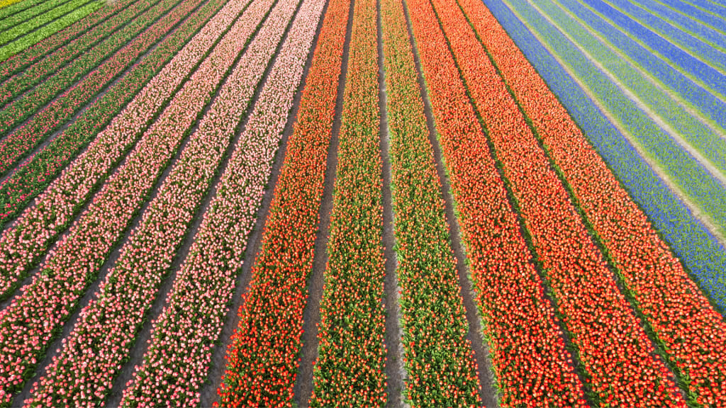 This mindset can get agriculture off the commodity rollercoaster