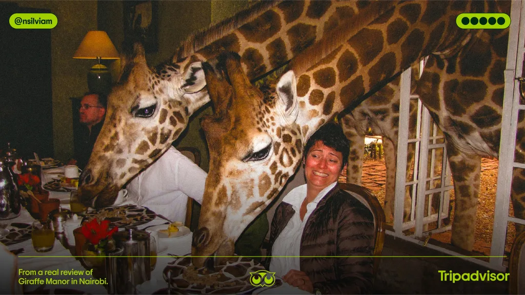 A newly rebranded Tripadvisor creative asset featuring a user photo from Giraffe Manor in Nairobi.