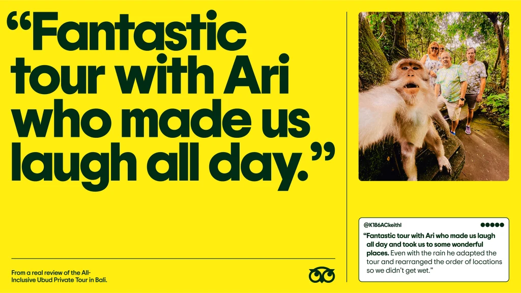 A Tripadvisor rebrand creative asset that reads "Fantastic tour with Ari who made us laugh all day" on the left hand side, a photo of a monkey taking a selfie on the right hand side, and the full review below it.