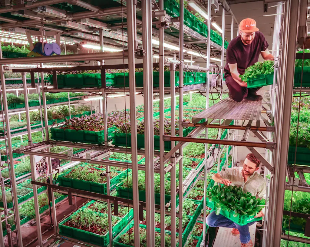 01-91409395-area-2-farms-in-empty-office