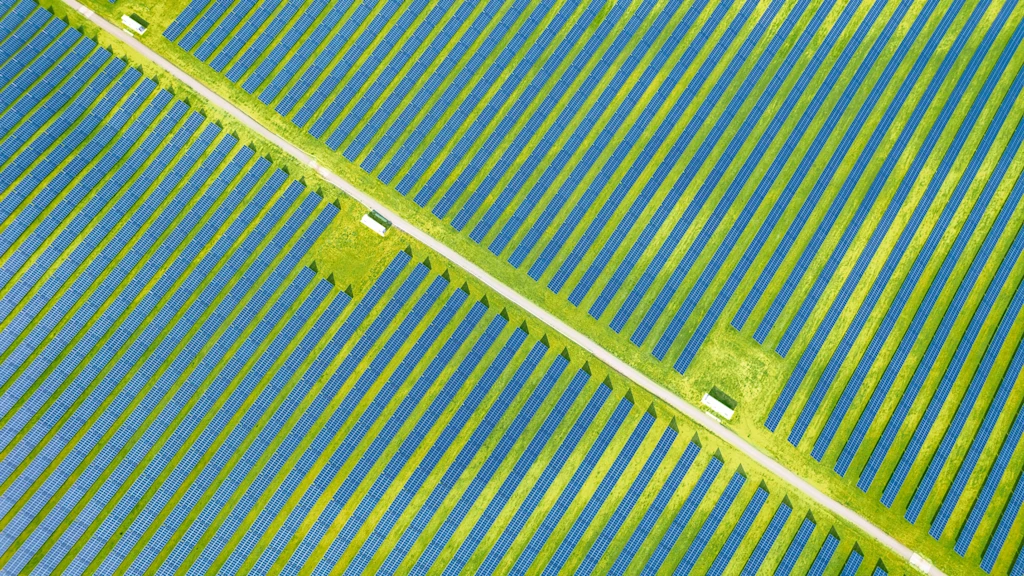 New demand for familiar crops fuels innovation