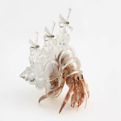 An Artist Gives Hermit Crabs Crazy New Homes - Fast Company