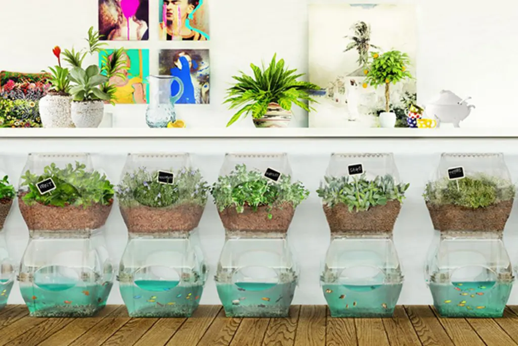 herb garden fish tank