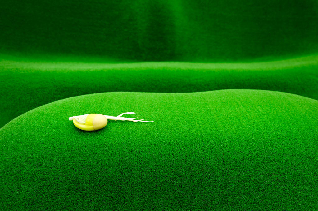 The Lush Art Of Azuma Makoto, Who Launched Flowers Into Space