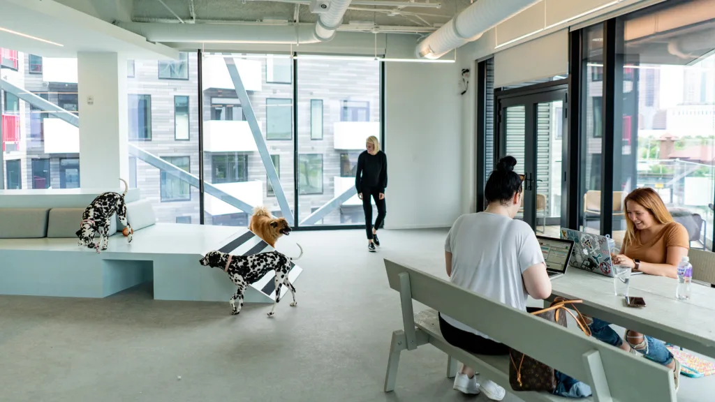 This is the most dogfriendly office ever Fast Company