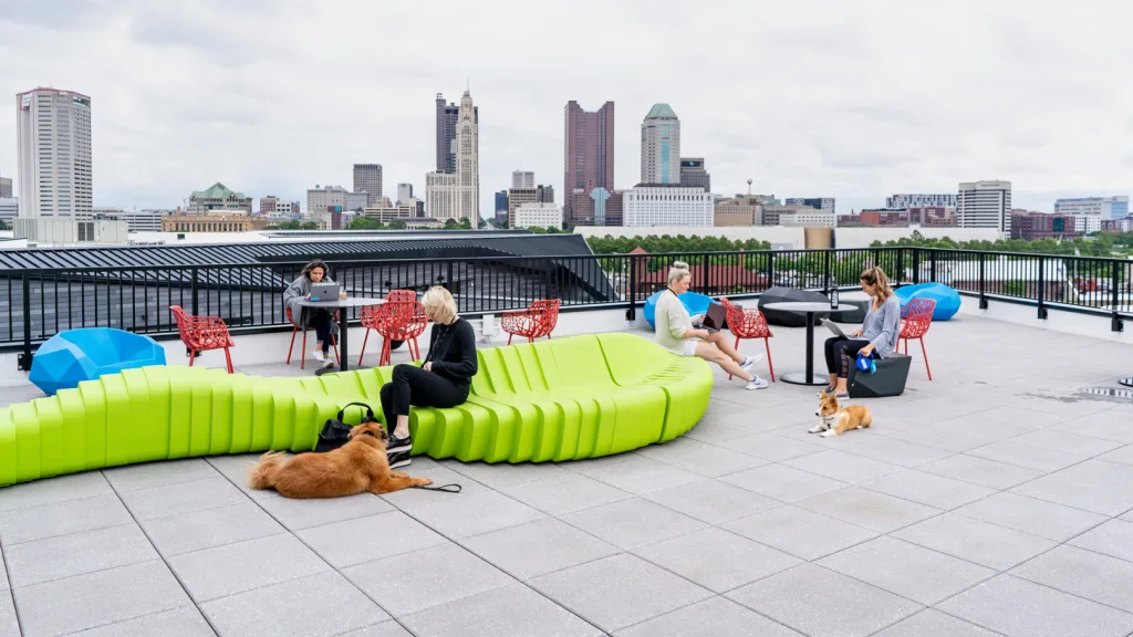 This is the most dogfriendly office ever Fast Company