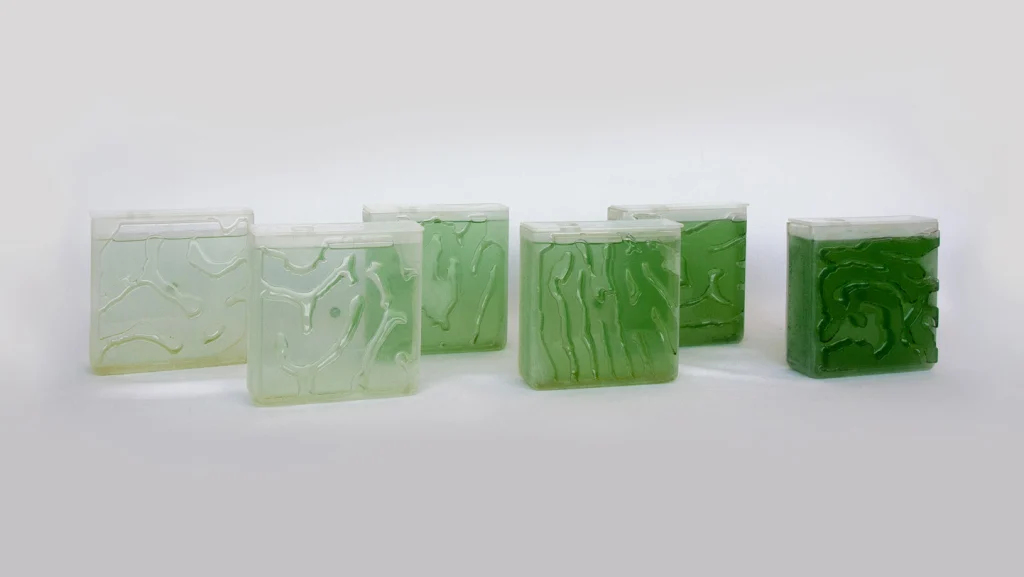 This kit makes it shockingly easy (and pretty) to farm your own algae ...