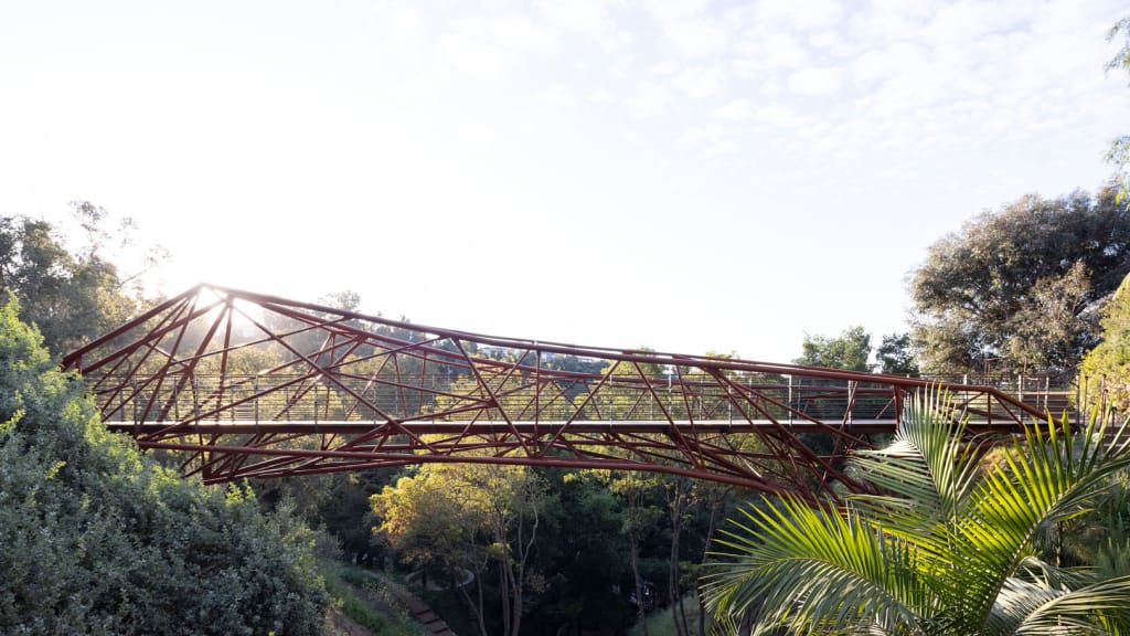 This incredible bridge was designed by students—and built by robots ...