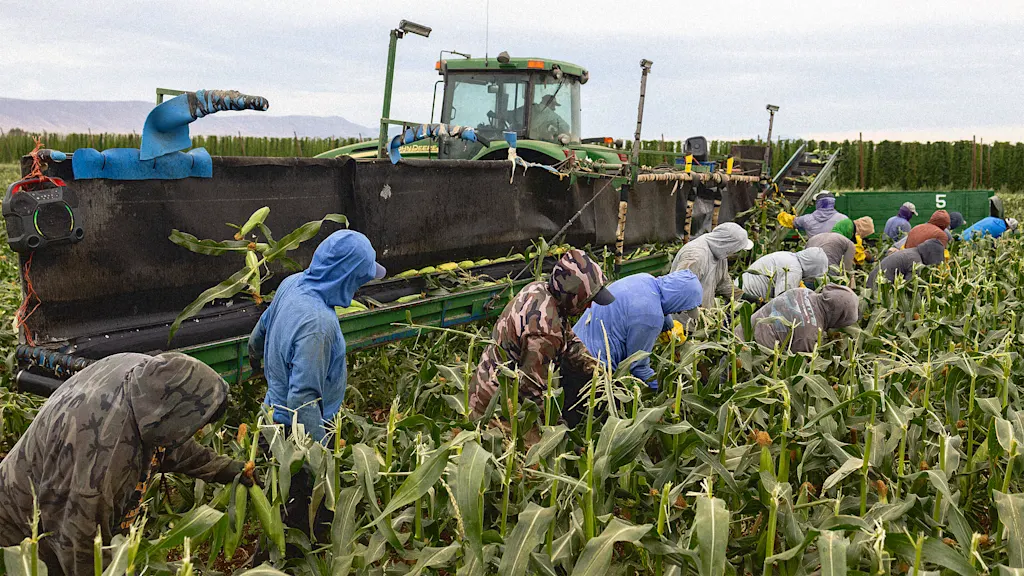Trump's Labor Department says Trump's mass deportations pose 'immediate dangers' to our food supply