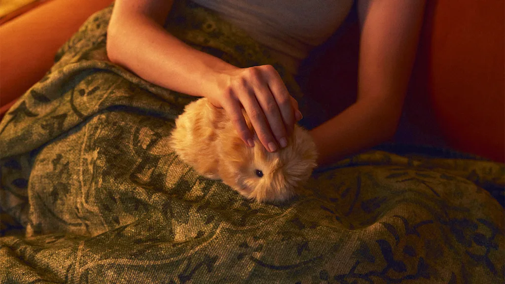 Oops, I got emotionally attached to this $429 AI pet