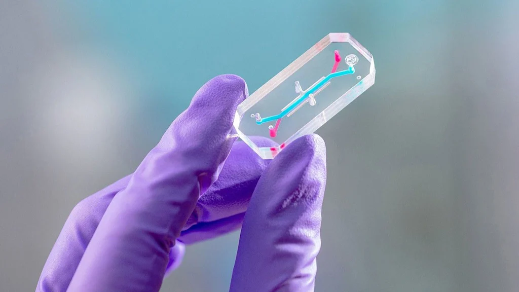 i-3-91477185-nasas-artemis-ii-mission-is