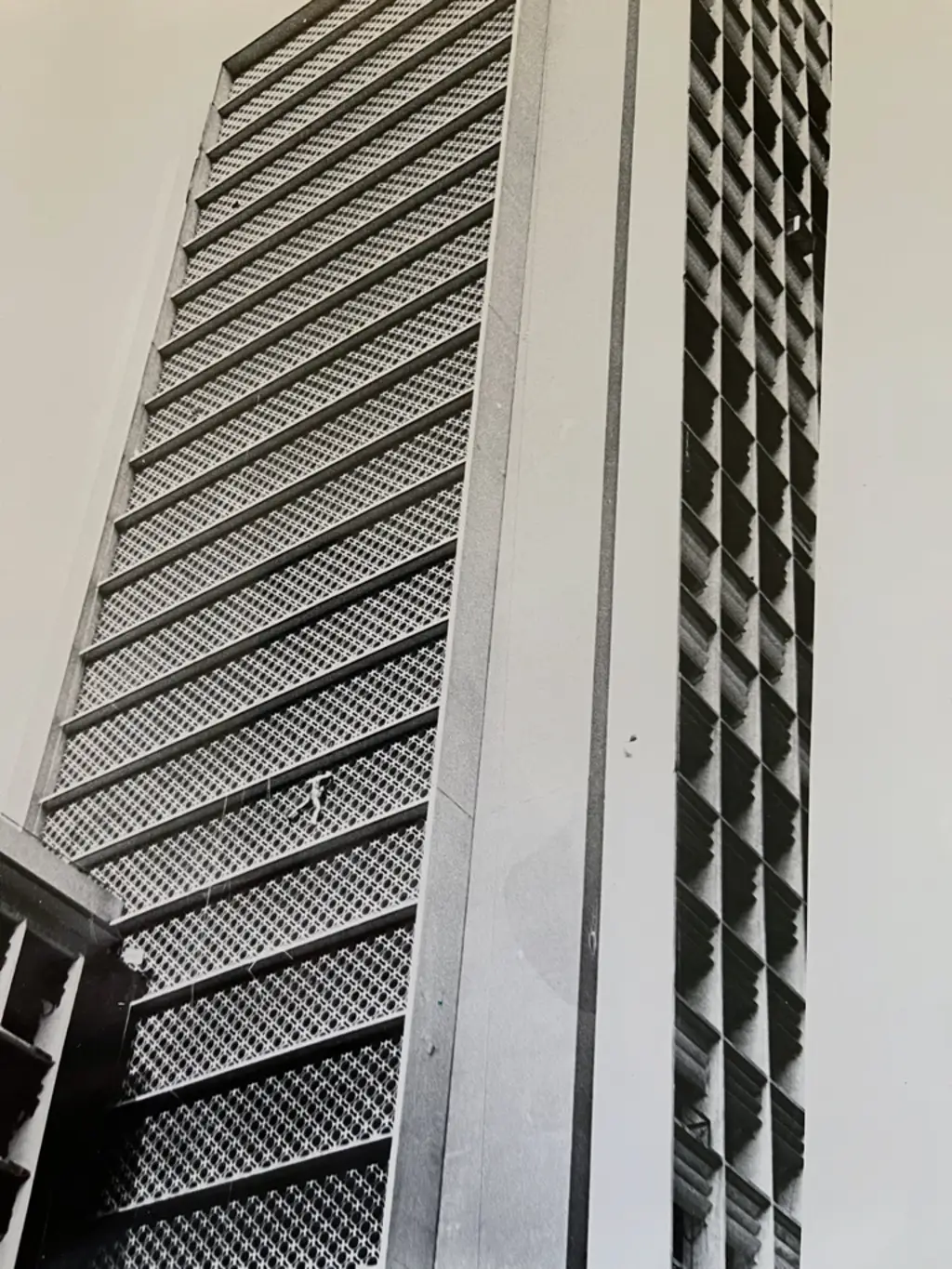 i-3-91483327-alex-honnold-taipei-101-cli