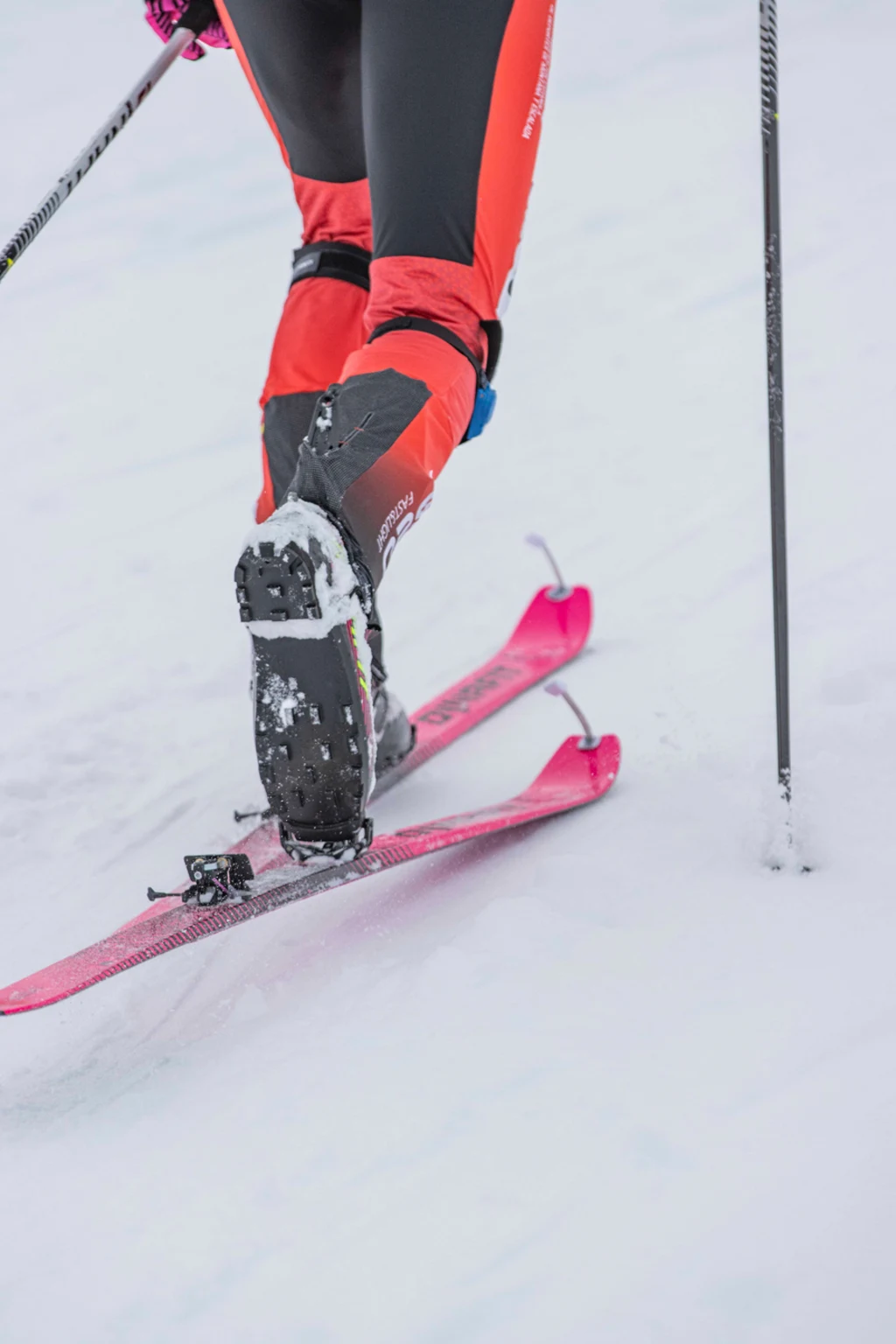 03-91494580-skimo-equipment.jpg