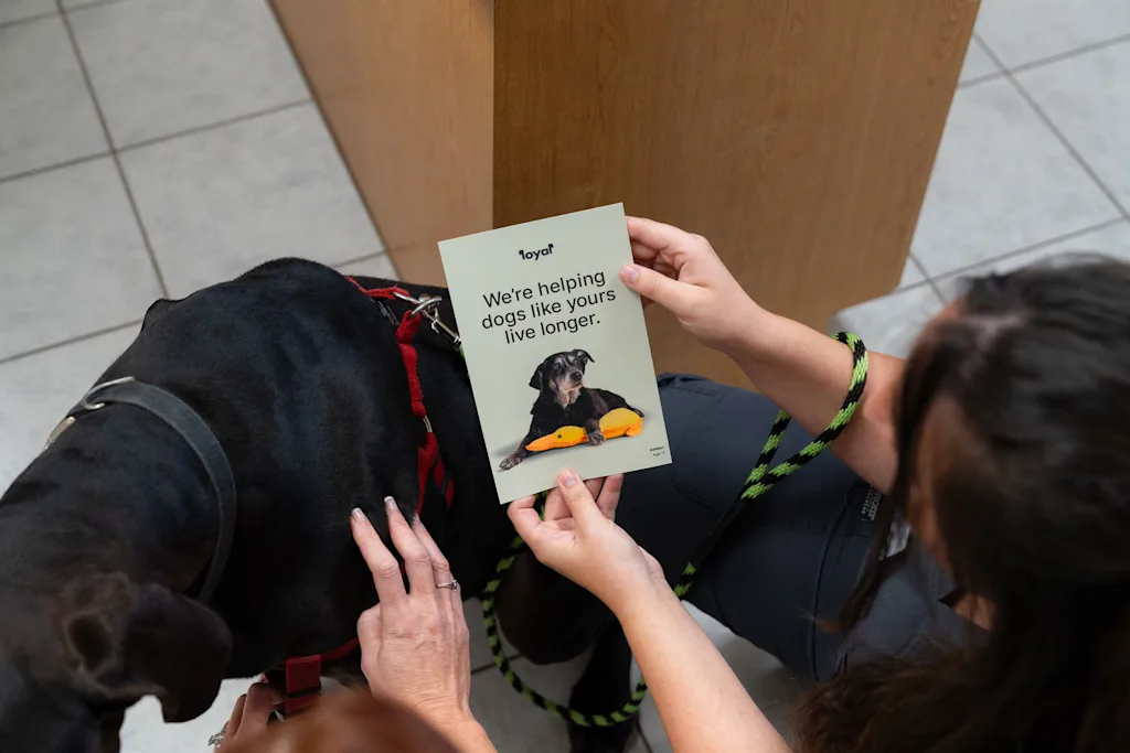 i-1-91490365-loyal-startup-250-million-h