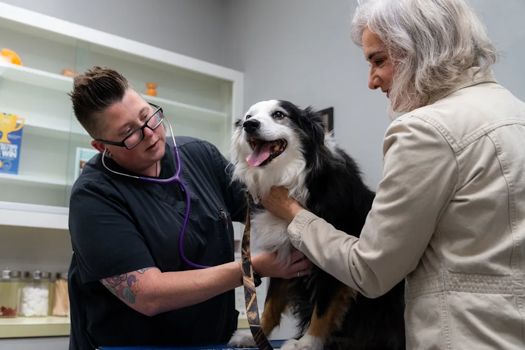 i-2-91490365-loyal-startup-250-million-h