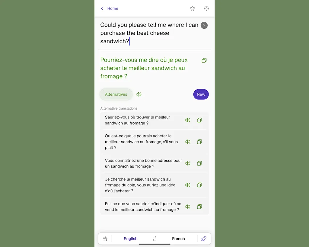 i-kagi-translate-app-alternate-translati