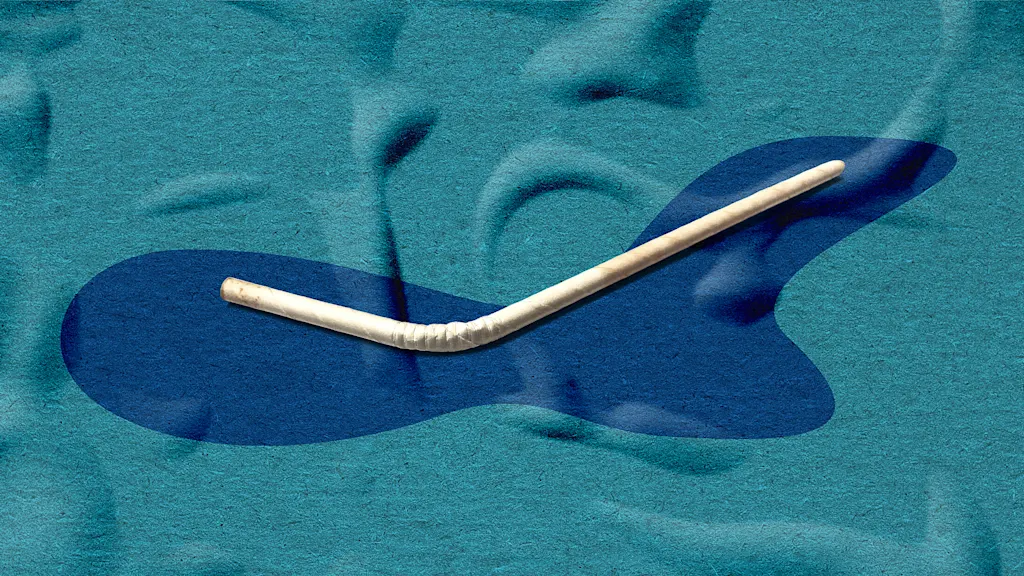 Why sustainable products fail-and what actually gets people to use them