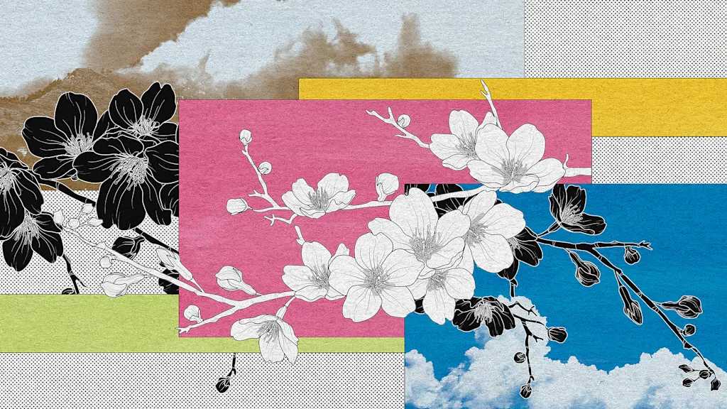 Japan's beautiful cherry blossoms are facing an ugly threat