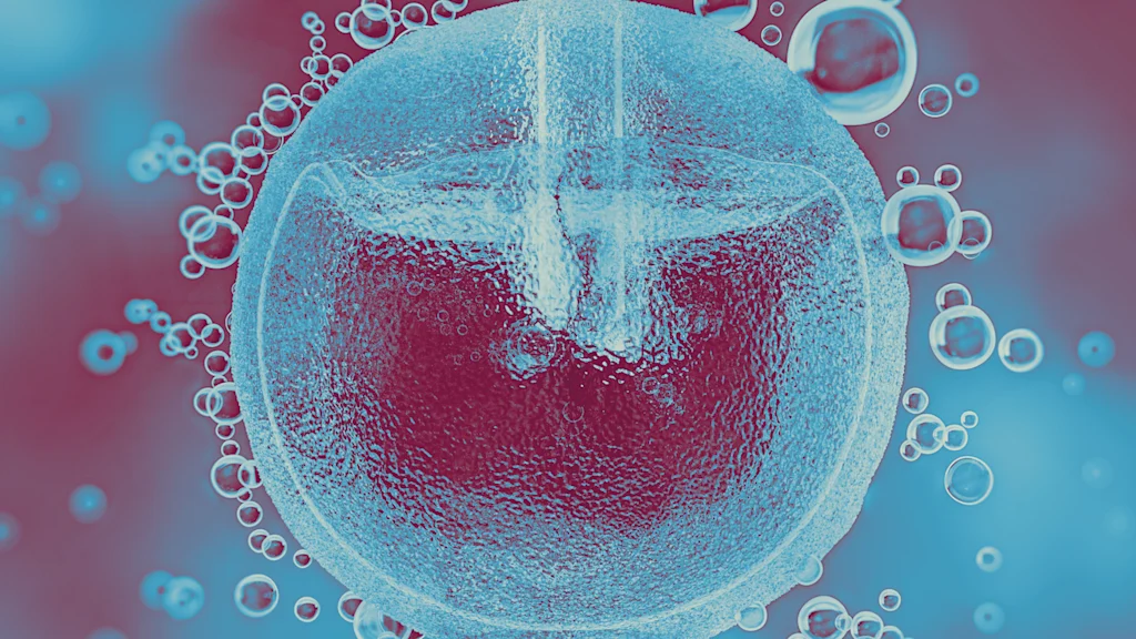 Why corporate America should pay for women to freeze their eggs