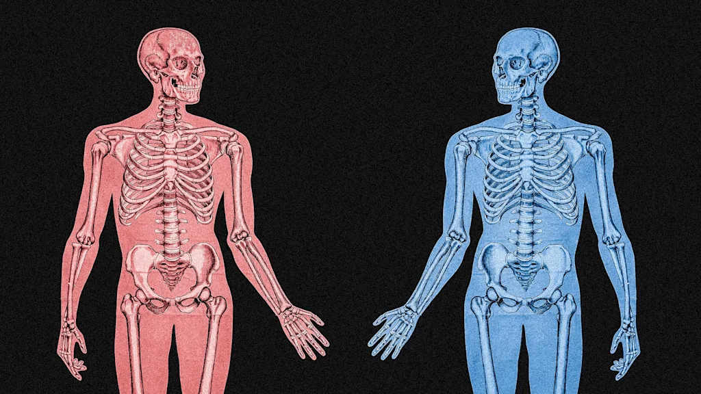 Why workplaces need a gendered health approach