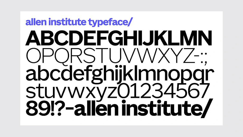 i-2-91534221-allen-institute-logo.png