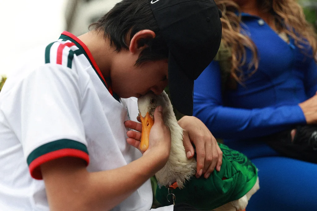 How this street duck became Mexico’s unofficial World Cup mascot How this street duck became Mexico’s unofficial World Cup mascot