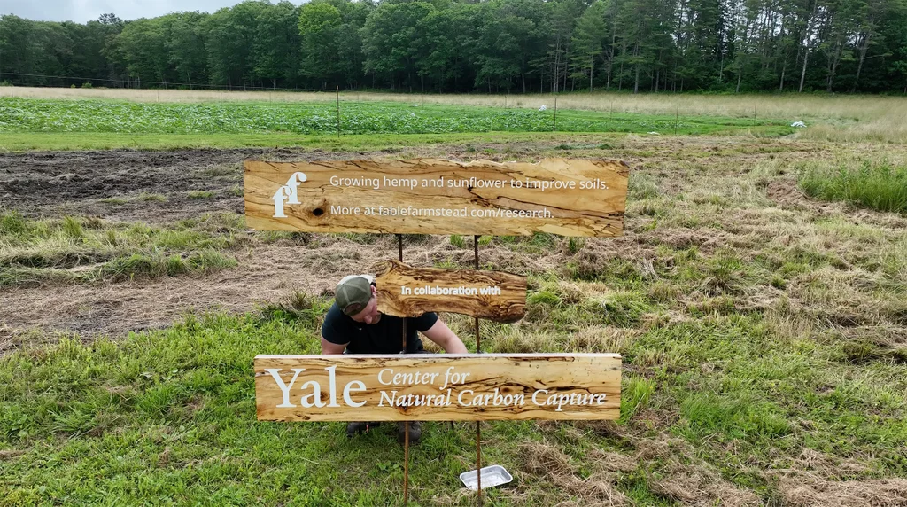 Neue Yale-Studie zeigt kostengünstige Methode zur Entfernung von "Ewigkeitschemikalien" aus Ackerland