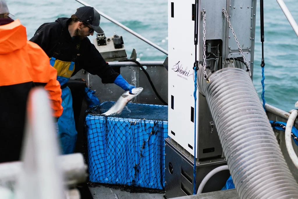 Roboter-System verbessert Lachsfischerei in Alaska