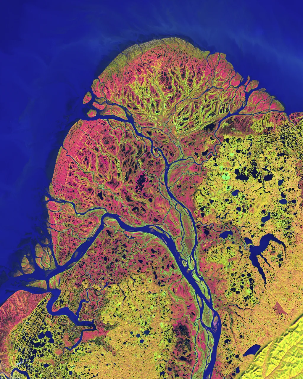 Yukon Delta, Alaska. Taken by Landsat-7 on September 22, 2002.