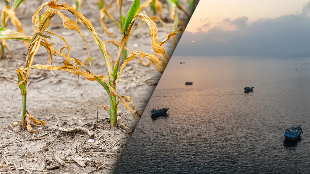 The Strait of Hormuz crisis is exposing a hidden food risk. New fertilizer tech could help