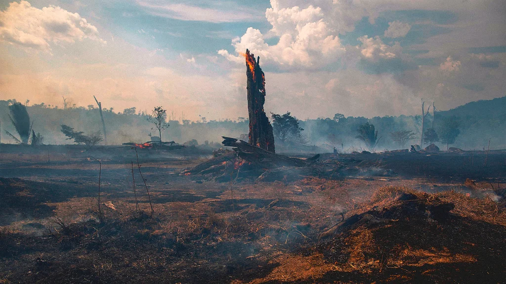 The Amazon rainforest, long known as the ‘lungs of our planet ...