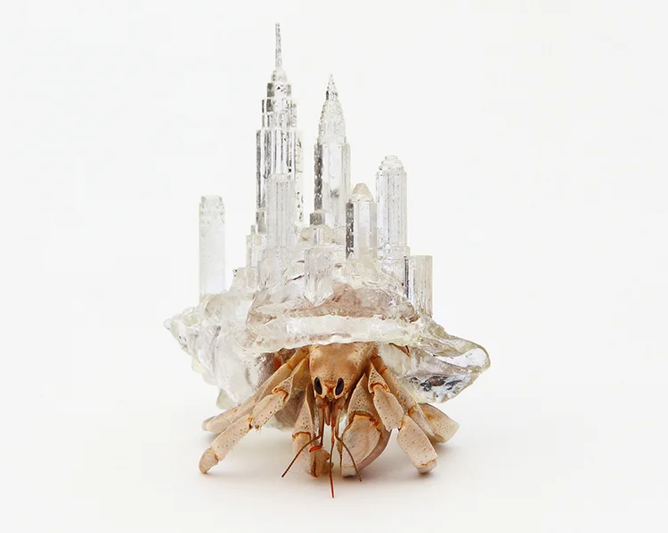 An Artist Gives Hermit Crabs Crazy New Homes - Fast Company