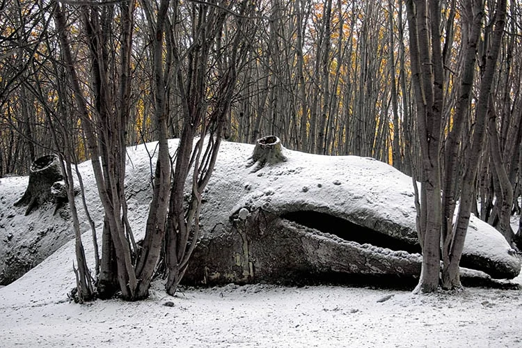 Surreal Clay Sculptures Live Fast, Die Young - Fast Company