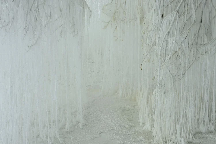 A Shimmering Forest Of Ice, Made From Hot Glue And Urea - Fast Company