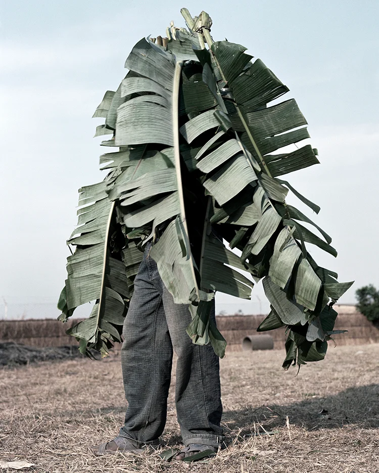 An Artistic Look At African Farm Workers - Fast Company