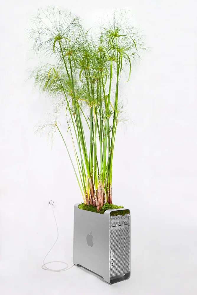 Old Macs Make Surprisingly Pretty Planters - Fast Company
