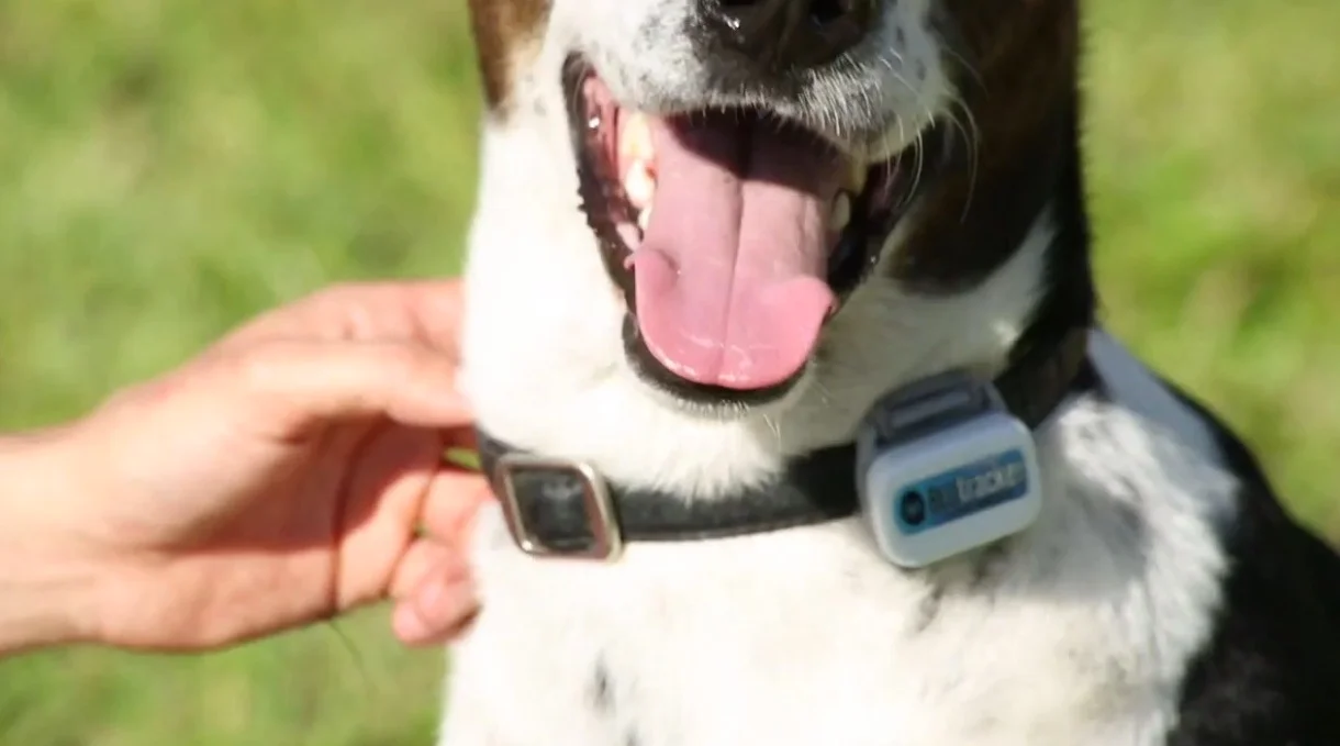 Is Bluetooth About To Get-Gulp-Cool? - Fast Company