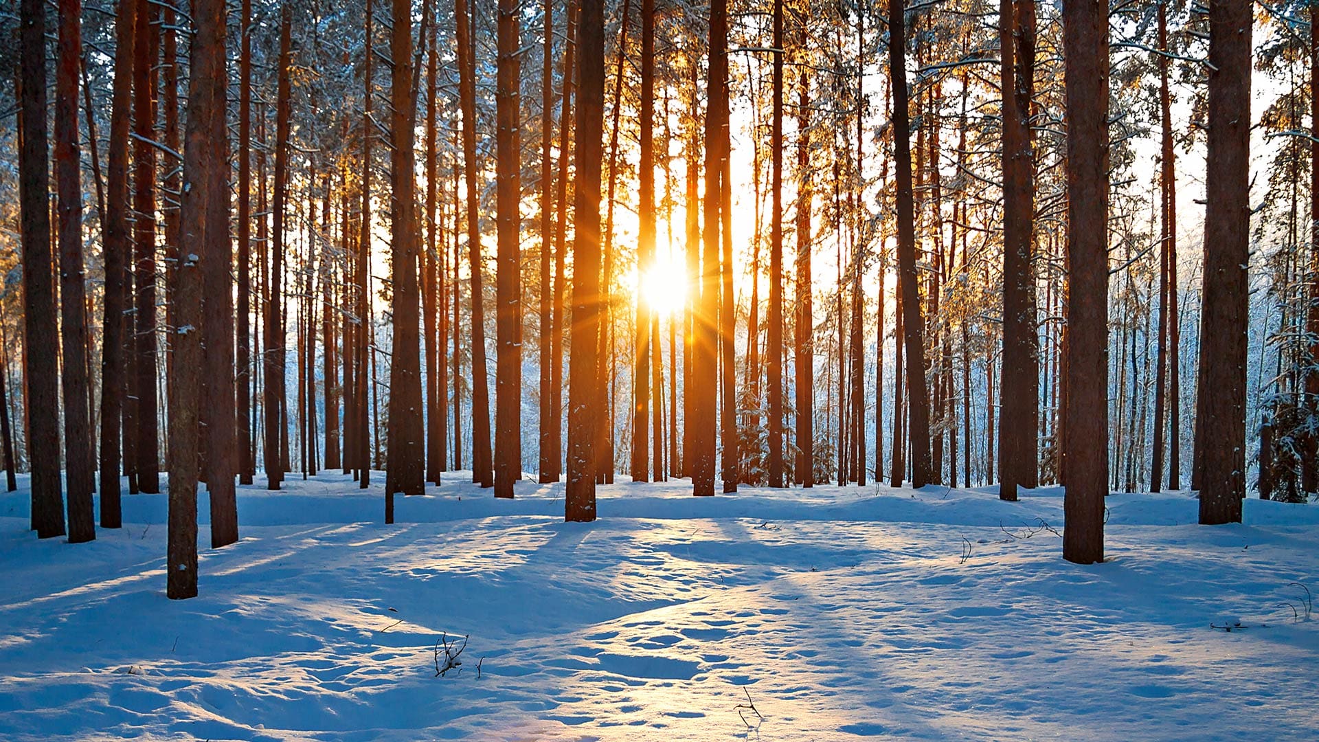 A Cryptocurrency To Encourage You To Get Solar Power - Fast Company