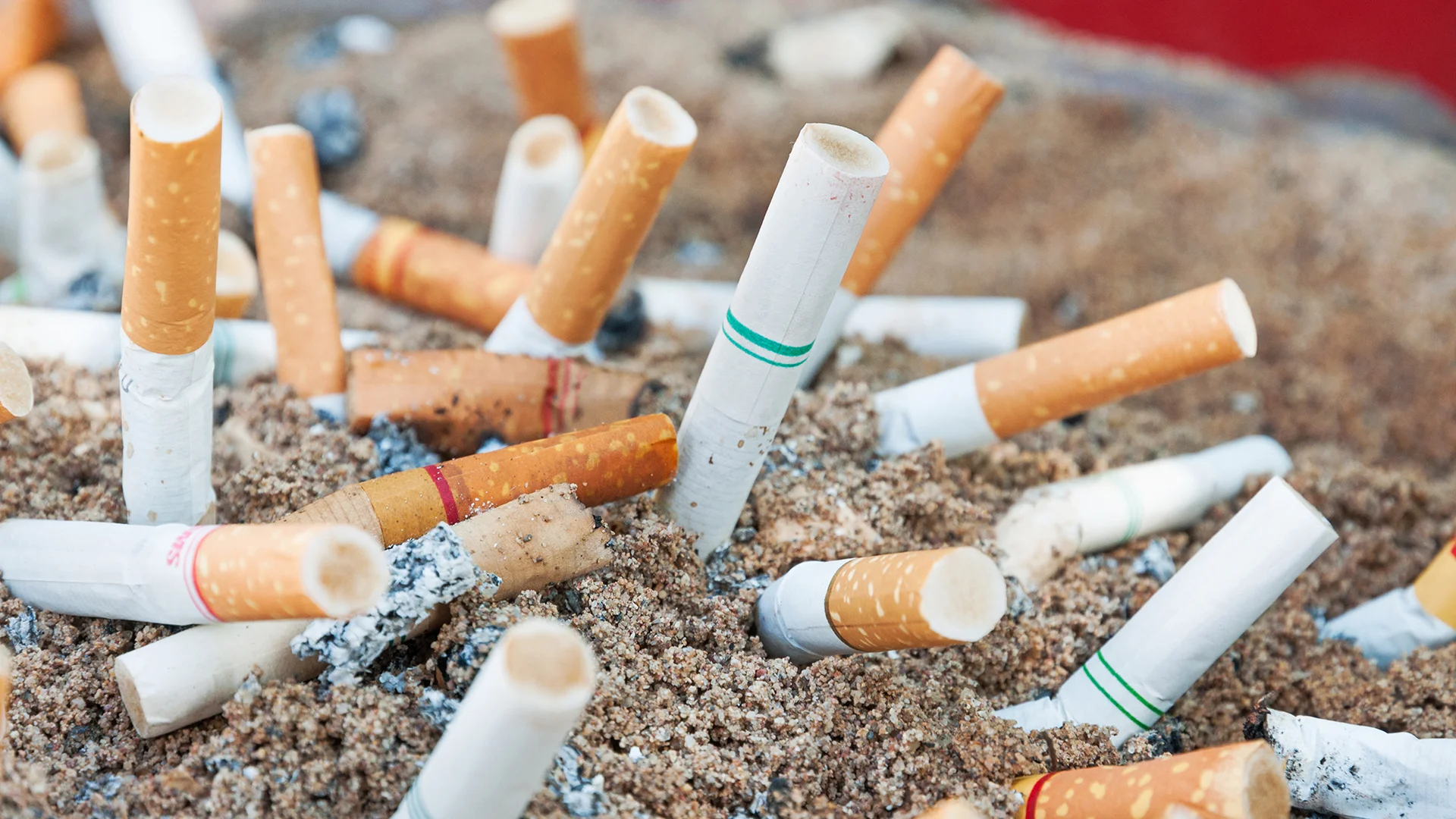 does cigarettes lower heart rate The Impact of Smoking on Cardiovascular Health: How Smoking Affects Your  Heart