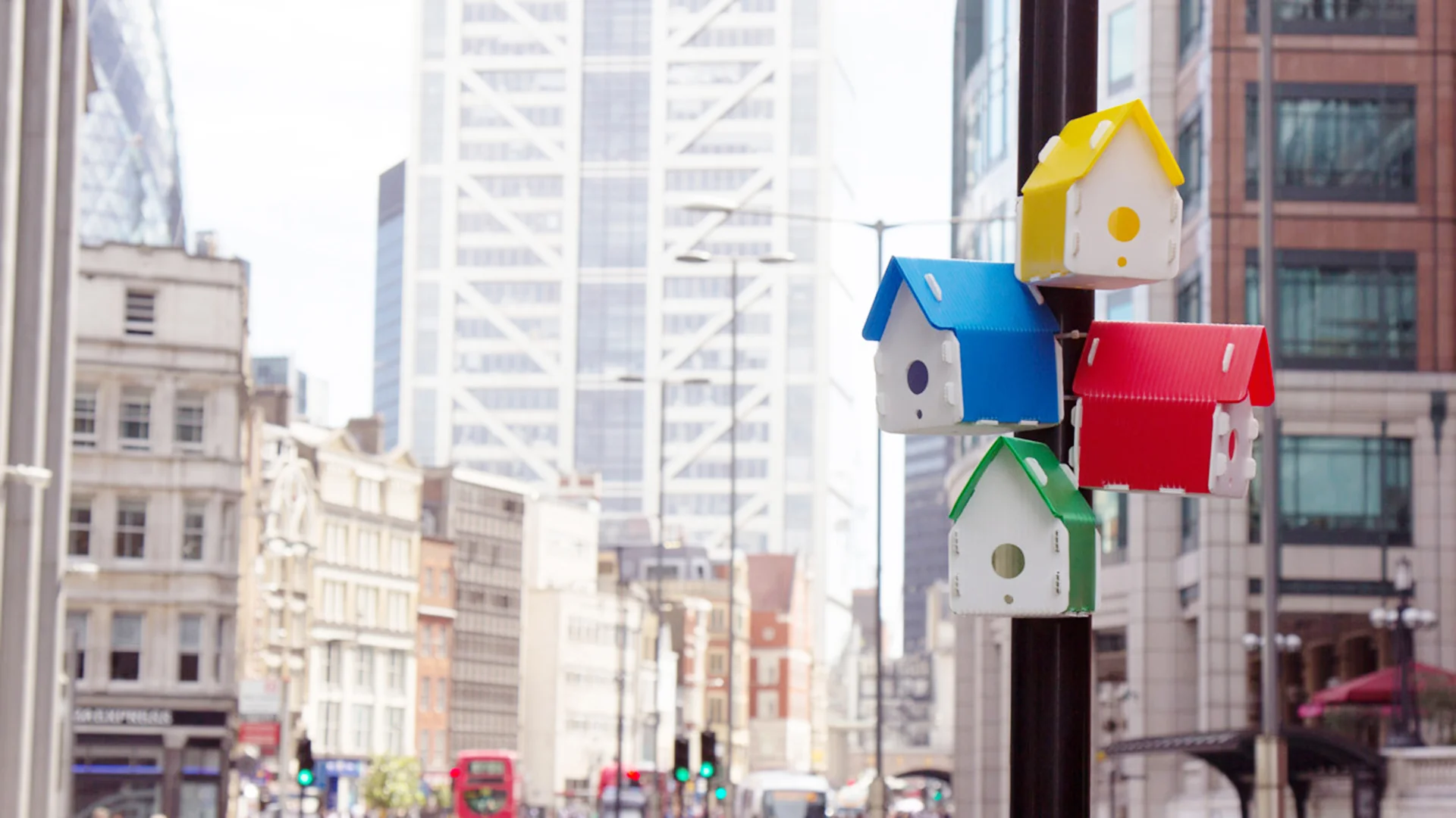Traffic Light Birdhouse 🌍 7 Countries. 6 Months. A Journey Through
