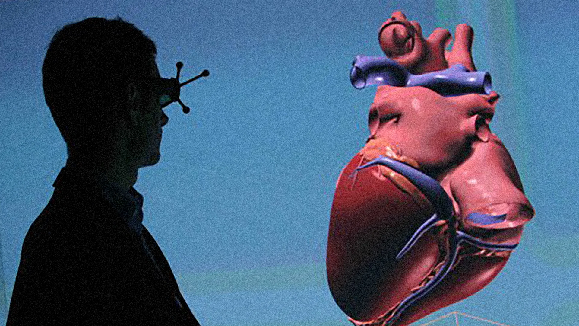 Take A 3-D Tour Of A Big, Beating Human Heart - Fast Company