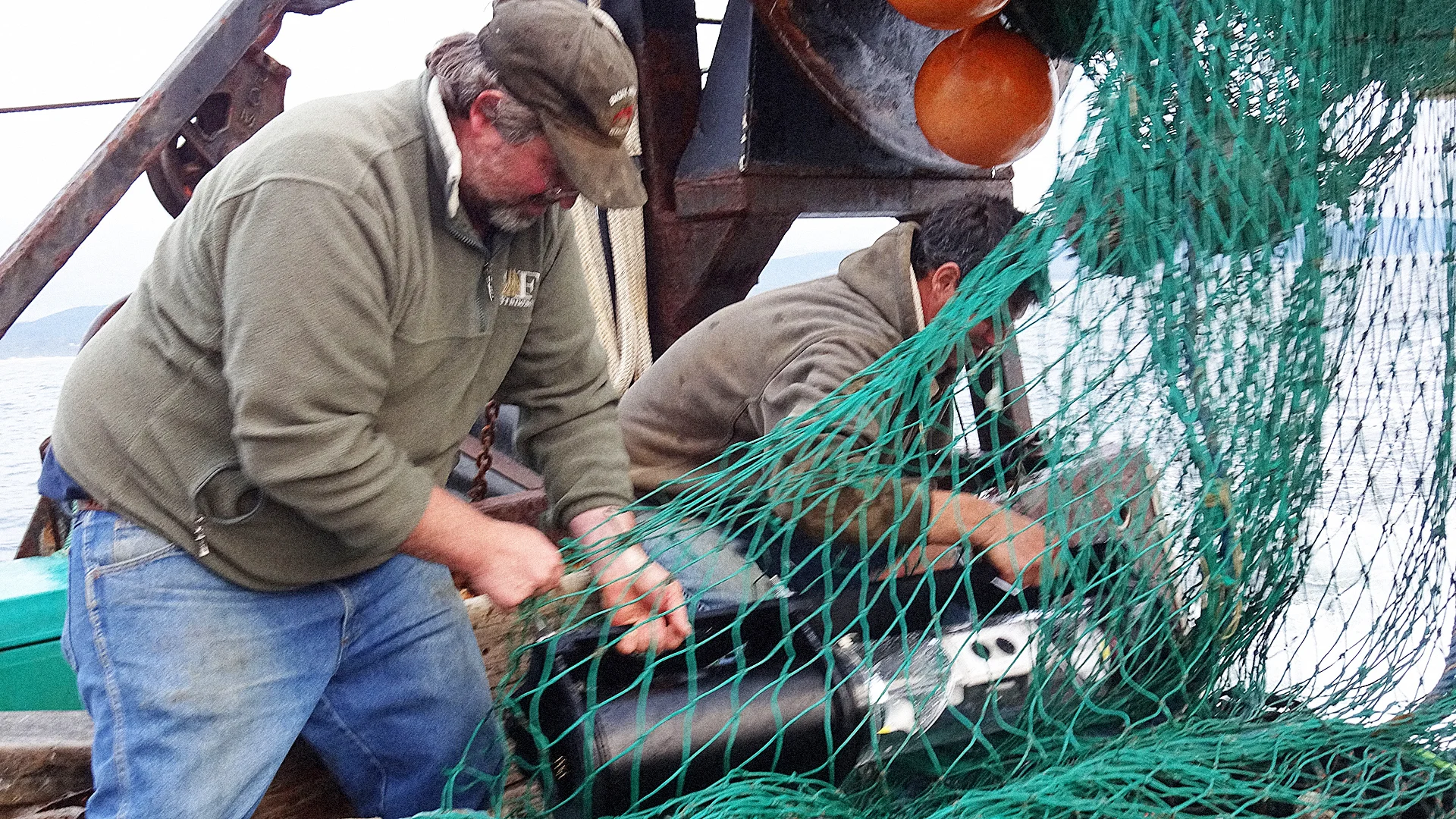 best fly reels for salmon How to Choose the Best Fly Reel for Salmon